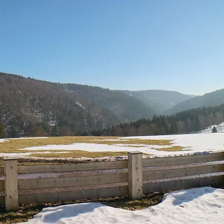 Three-bedroom Holiday In 度假居 Gehlberg